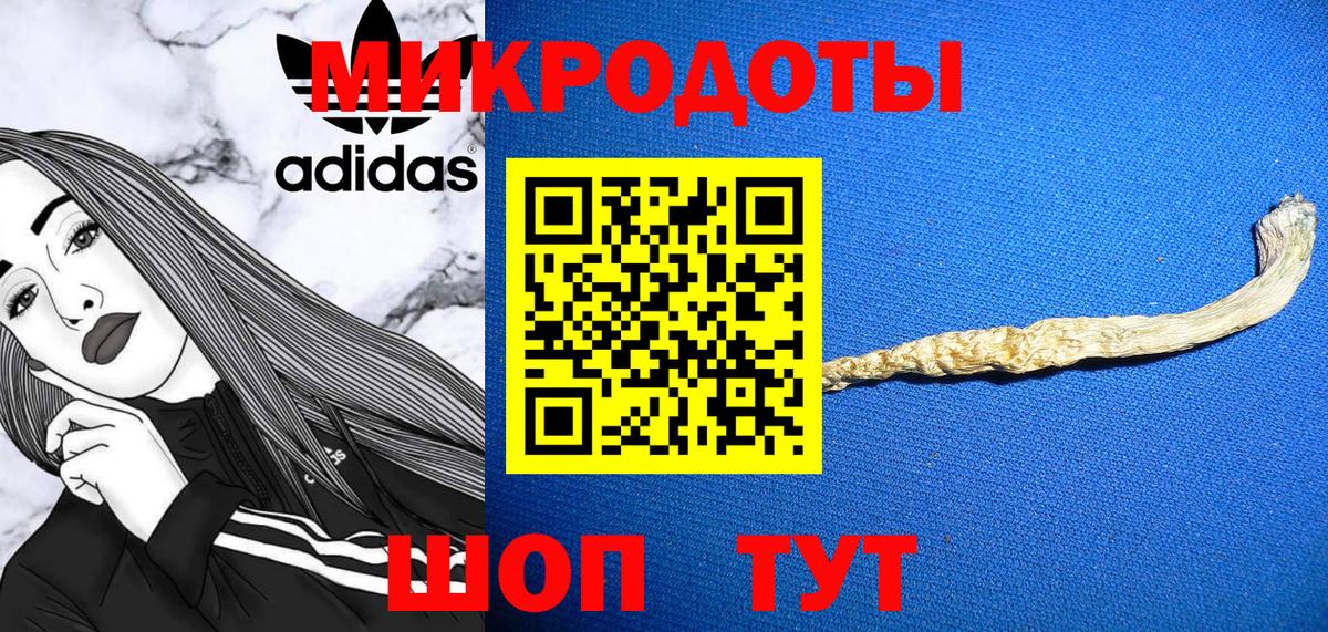 Псилоцибиновые грибы мицелий Саяногорск