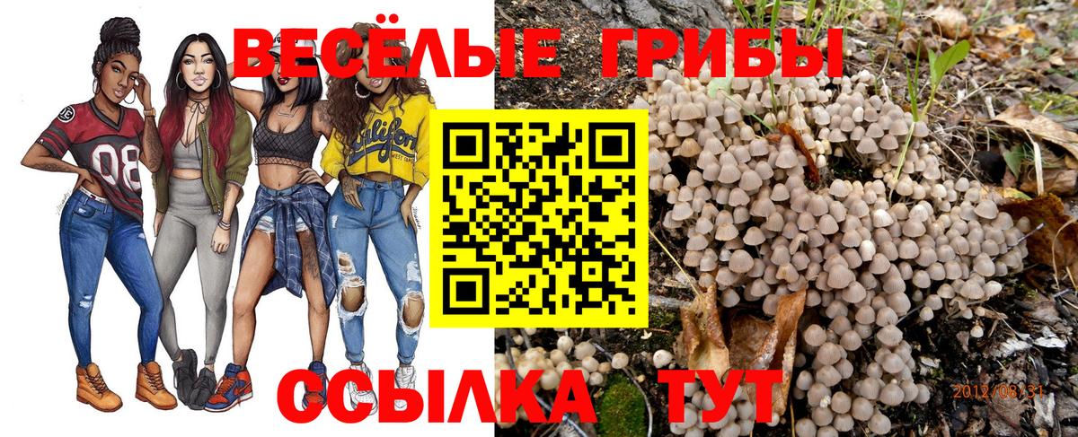 Саяногорск  Галлюциногенные грибы Cubensis  хочу наркоту  Вход с VPN 